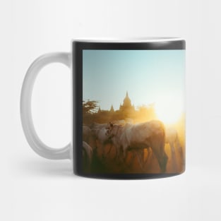 Cattle Herd Walking in Front of Bagan Pagodas, Burma Mug